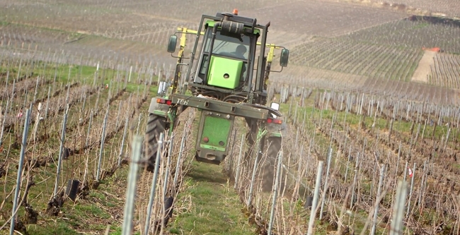 Champagne CARON Frédéric - 